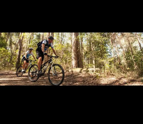 Bike On Downhill Mountain Bike Tour – Guided Adventure Experience