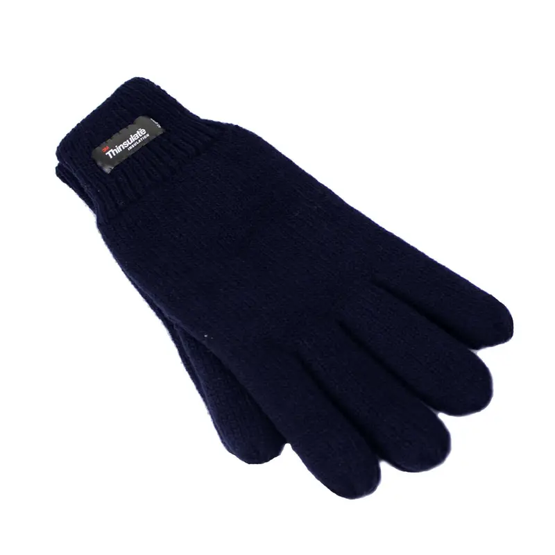 Dents Men’s Navy Polar Fleece Gloves – 3M Thinsulate Lined for Extreme Cold