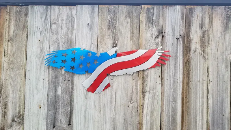 Eagle Profile Flag Design