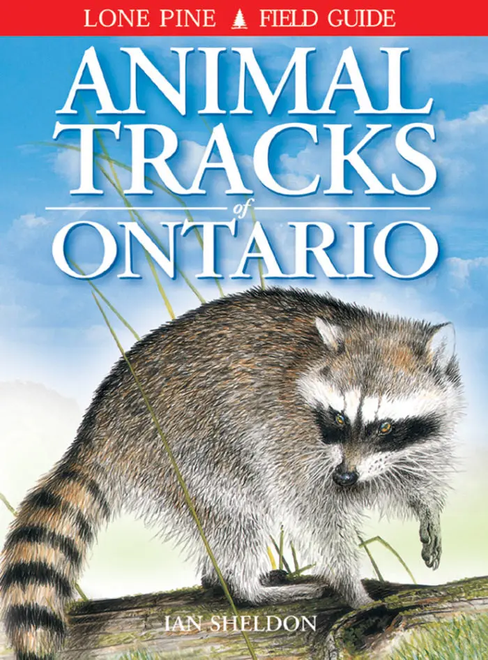 Lone Pine Field Guide: Animal Tracks of Ontario