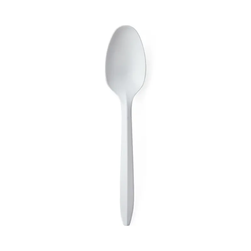 Medium-Weight Polypropylene Spoon – 6-Inch Disposable Tableware (Case of 1000)