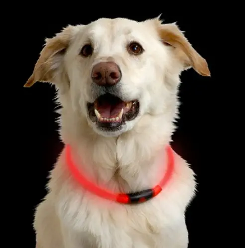Nite Ize Nitehowl LED Light-Up Pet Necklace